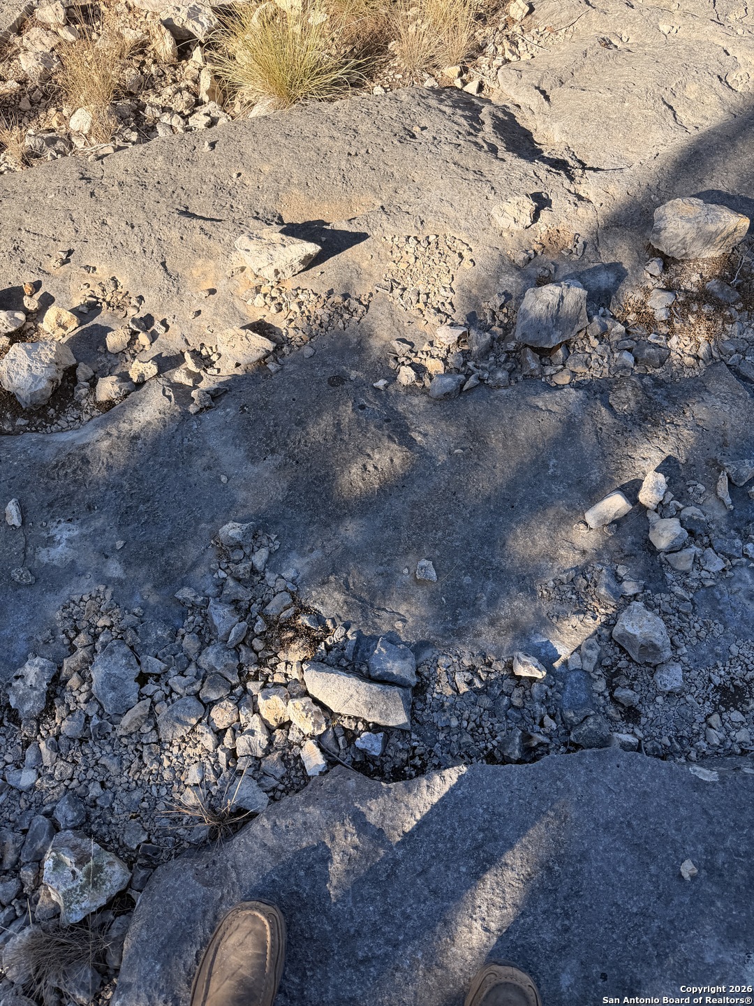 Tbd Hegedus Ranch Road Rocksprings, TX 78880 - Photo 12 of 35