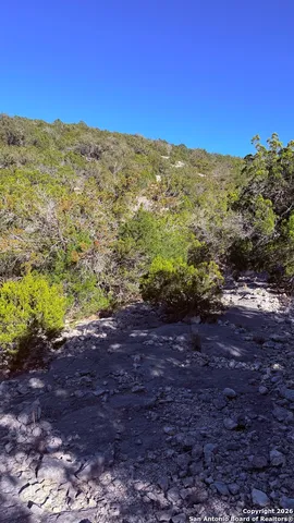 $119,000 | Tbd Hegedus Ranch Road, Rocksprings, TX 78880