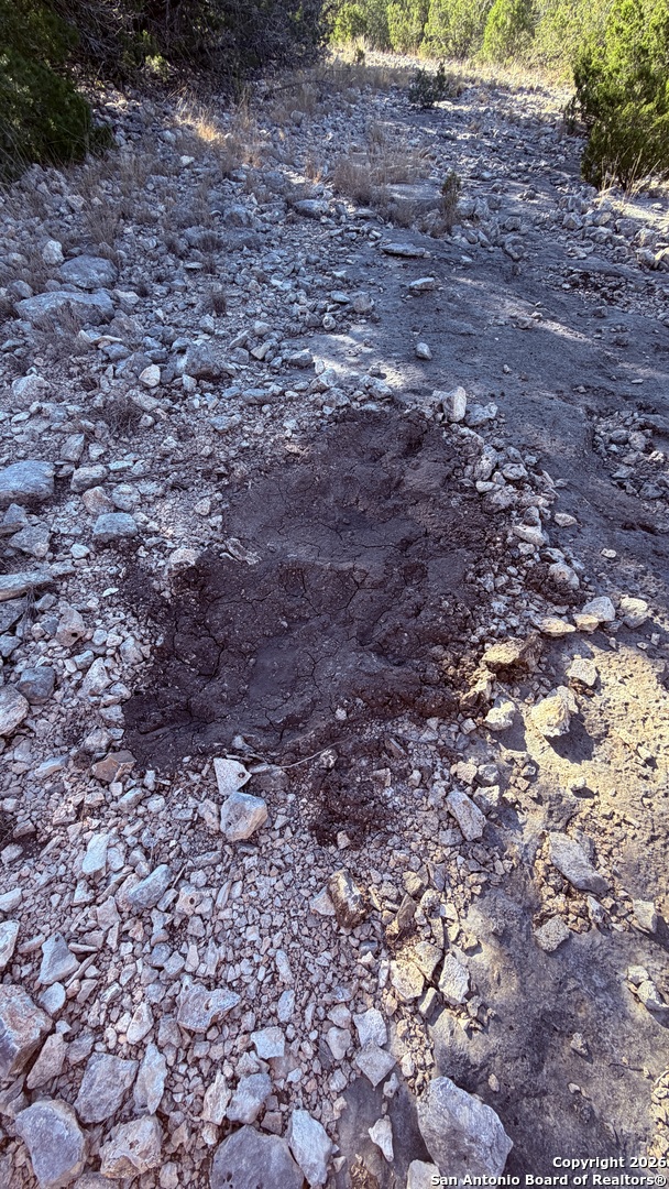 Tbd Hegedus Ranch Road Rocksprings, TX 78880 - Photo 14 of 35