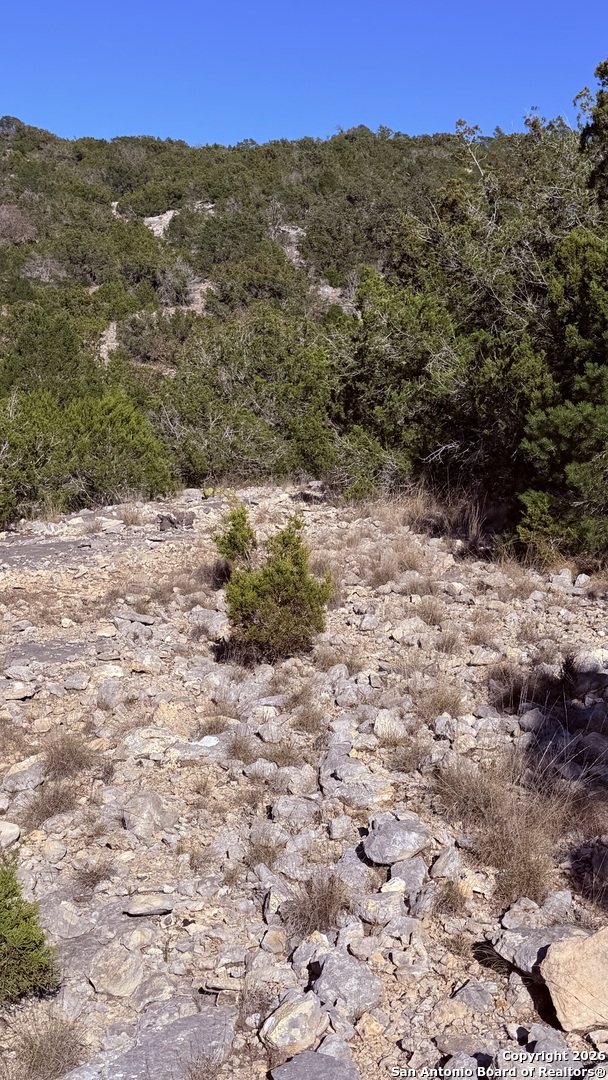 Tbd Hegedus Ranch Road Rocksprings, TX 78880 - Photo 15 of 35