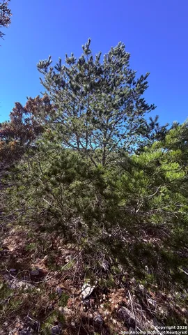 $119,000 | Tbd Hegedus Ranch Road, Rocksprings, TX 78880