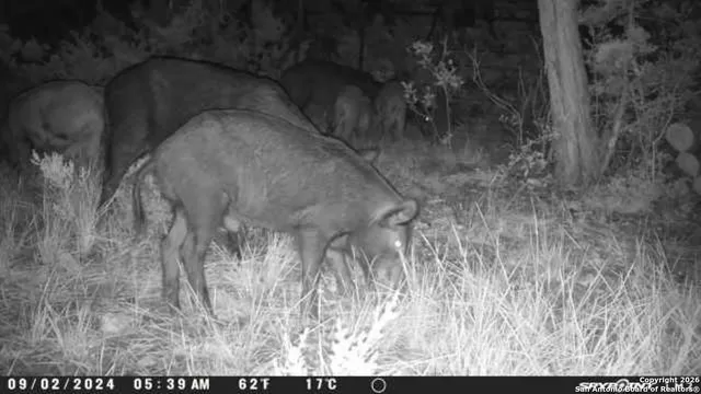 $119,000 | Tbd Hegedus Ranch Road, Rocksprings, TX 78880