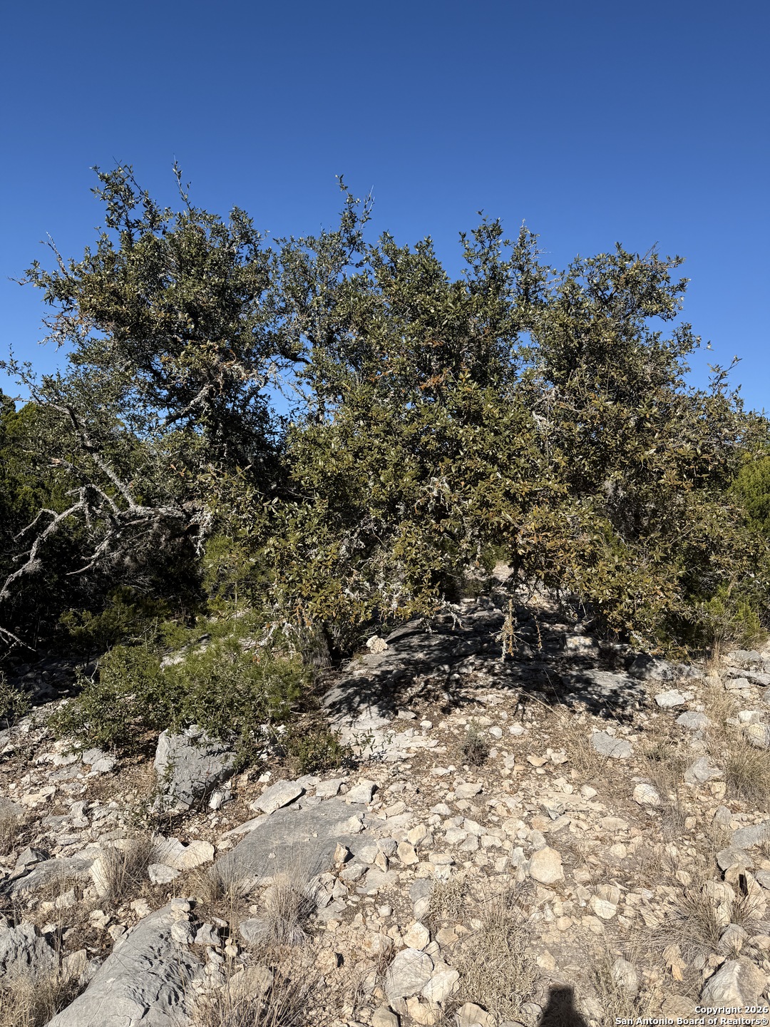 Tbd Hegedus Ranch Road Rocksprings, TX 78880 - Photo 21 of 35