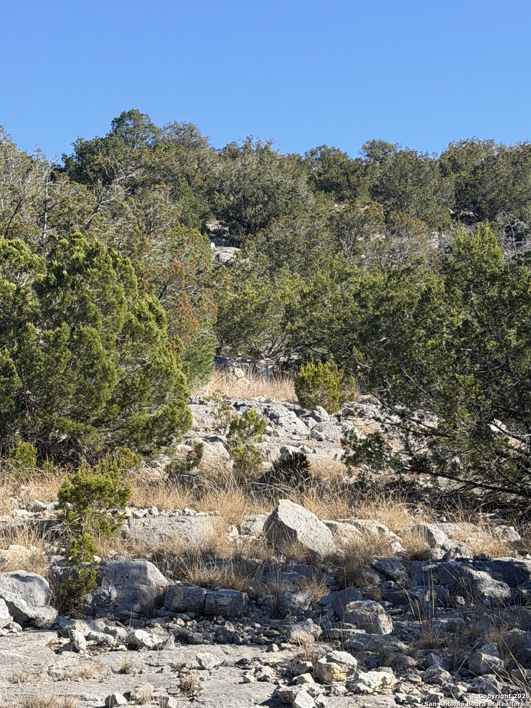 Tbd Hegedus Ranch Road Rocksprings, TX 78880 - Photo 22 of 35
