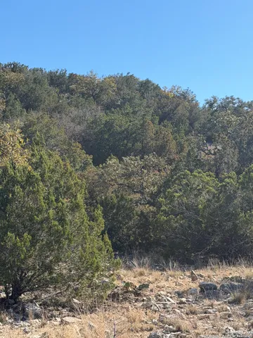$119,000 | Tbd Hegedus Ranch Road, Rocksprings, TX 78880