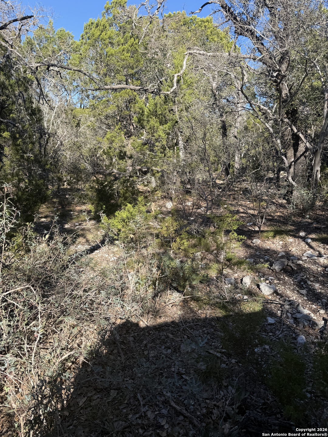 Tbd Hegedus Ranch Road Rocksprings, TX 78880 - Photo 24 of 35
