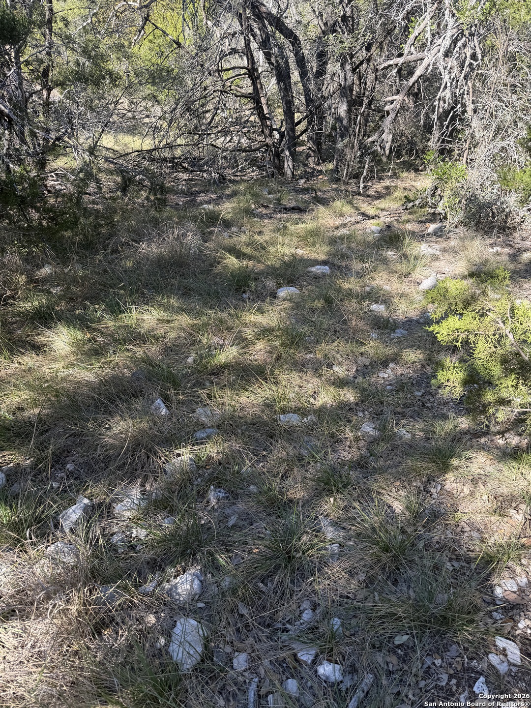 Tbd Hegedus Ranch Road Rocksprings, TX 78880 - Photo 25 of 35