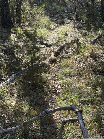 $119,000 | Tbd Hegedus Ranch Road, Rocksprings, TX 78880