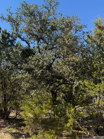 $119,000 | Tbd Hegedus Ranch Road, Rocksprings, TX 78880