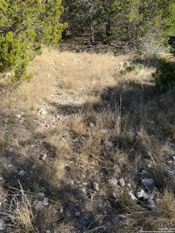 $119,000 | Tbd Hegedus Ranch Road, Rocksprings, TX 78880