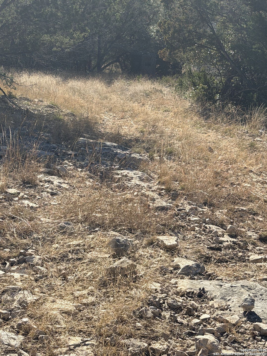 Tbd Hegedus Ranch Road Rocksprings, TX 78880 - Photo 33 of 35