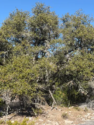 $119,000 | Tbd Hegedus Ranch Road, Rocksprings, TX 78880