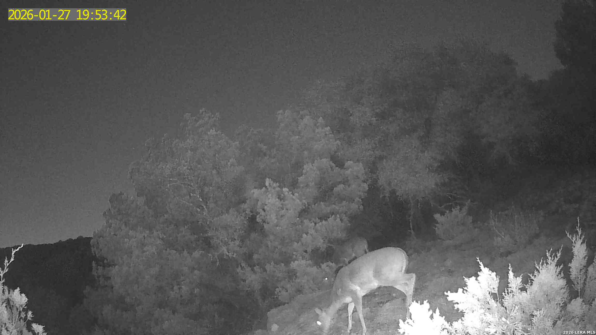 Tbd Hegedus Ranch Road Rocksprings, TX 78880 - Photo 39 of 44 a close view of tap