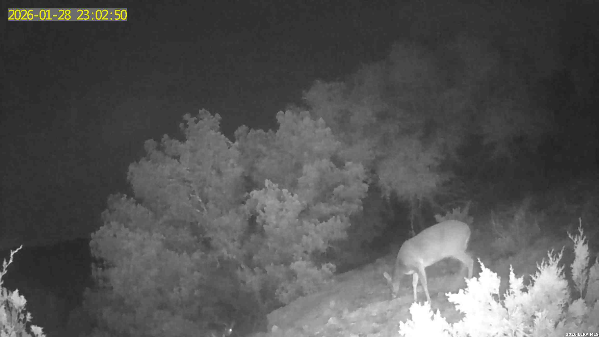 Tbd Hegedus Ranch Road Rocksprings, TX 78880 - Photo 40 of 44 a close up of a wall