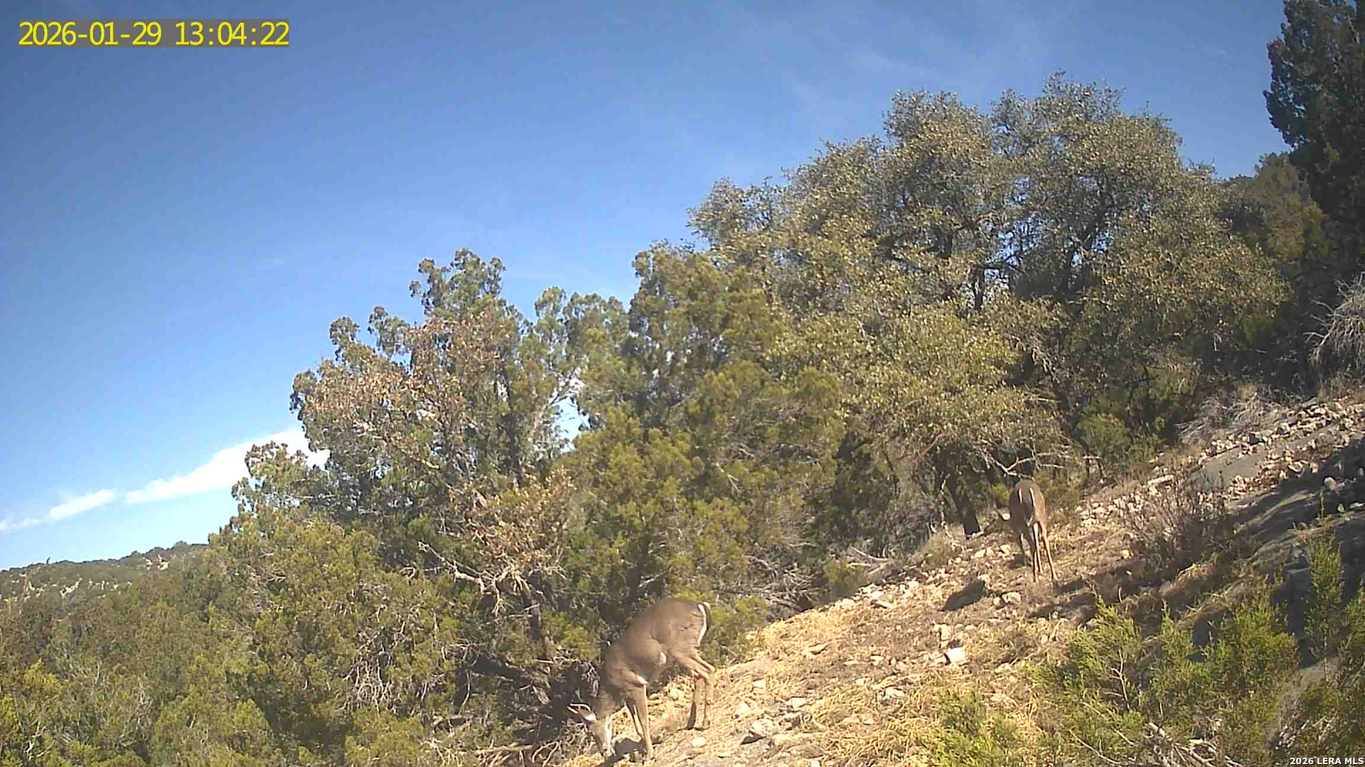 Tbd Hegedus Ranch Road Rocksprings, TX 78880 - Photo 42 of 44 a view of a building