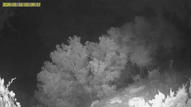 $119,000 | Tbd Hegedus Ranch Road, Rocksprings, TX 78880