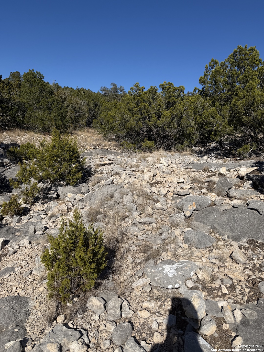 Tbd Hegedus Ranch Road Rocksprings, TX 78880 - Photo 7 of 35