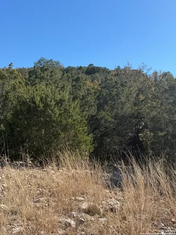 $119,000 | Tbd Hegedus Ranch Road, Rocksprings, TX 78880