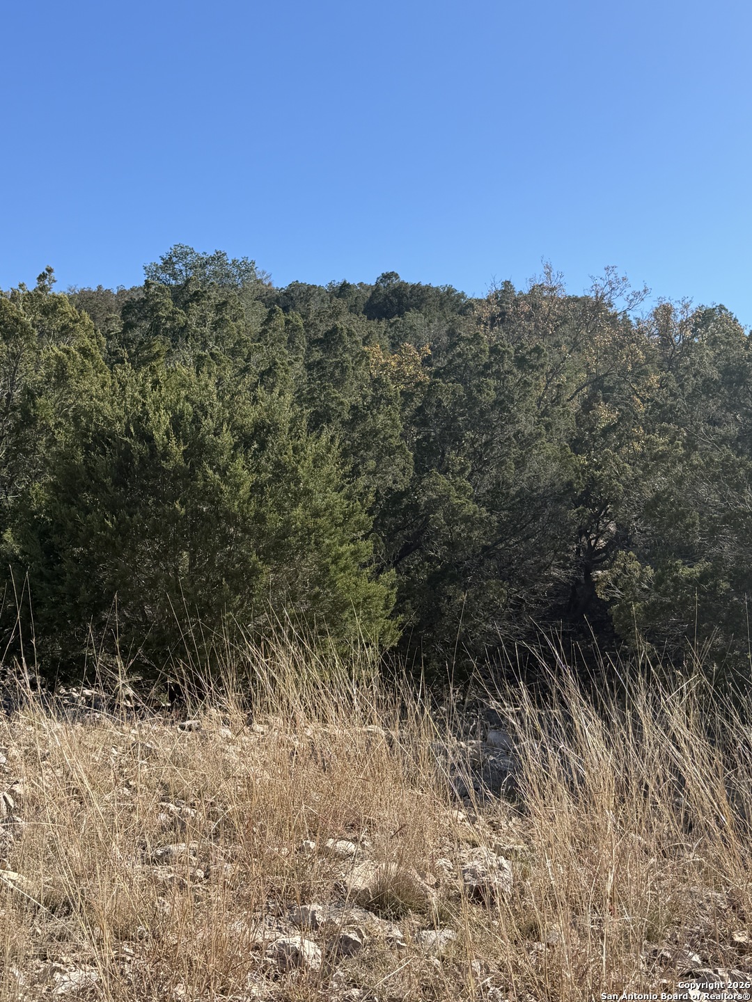 Tbd Hegedus Ranch Road Rocksprings, TX 78880 - Photo 9 of 35