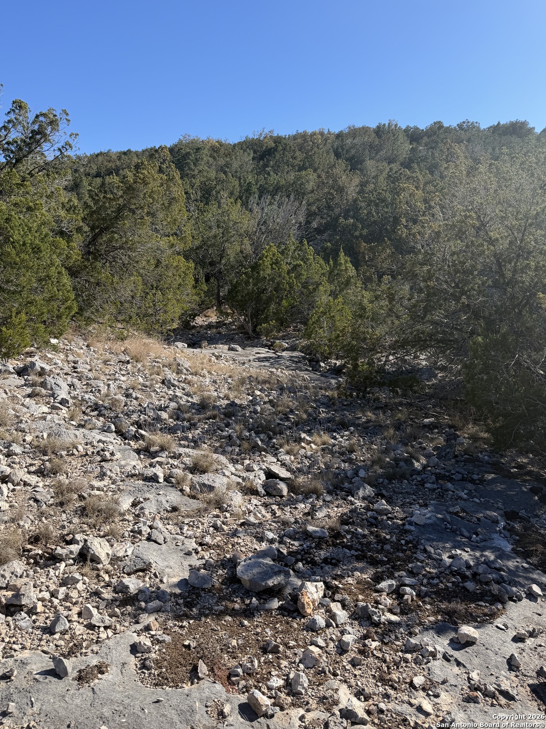 Tbd Hegedus Ranch Road Rocksprings, TX 78880 - Photo 10 of 35