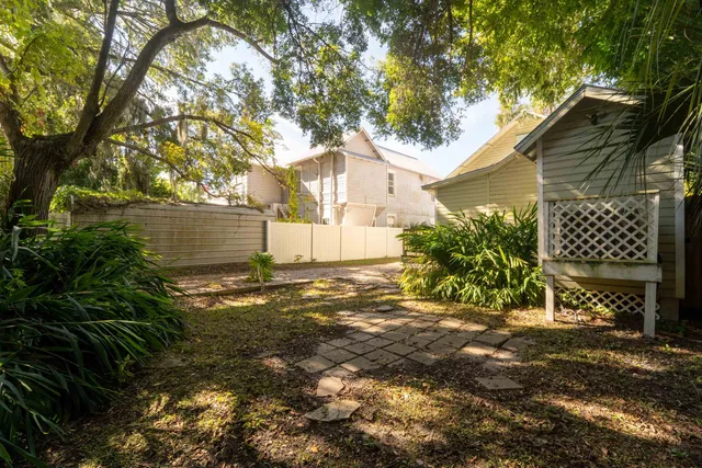 a view of a yard with plants and large trees