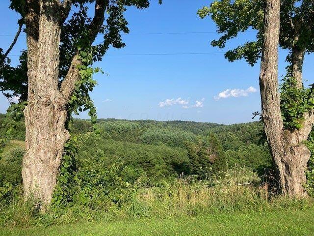 0 Kreashbaum Road Rockbridge, OH 43149 - Photo 17 of 20 View - Copy