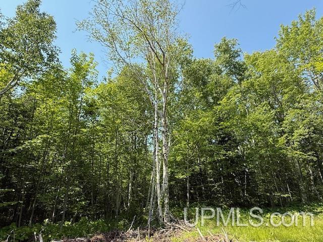 8690 Freda Road Atlantic Mine, MI 49905 - Photo 6 of 23 Gallery Image 6