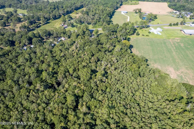 a close up of a plant in a garden