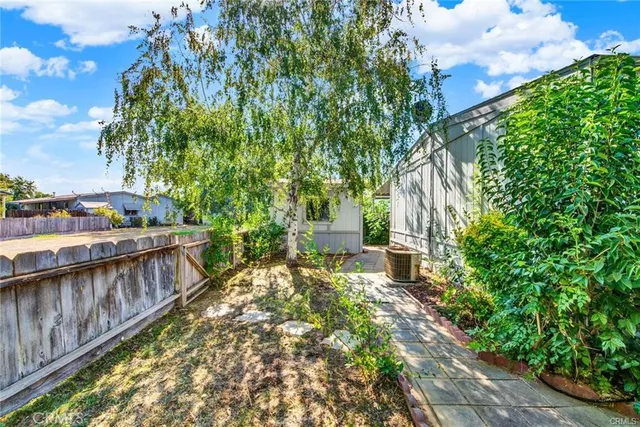 a view of a yard with plants