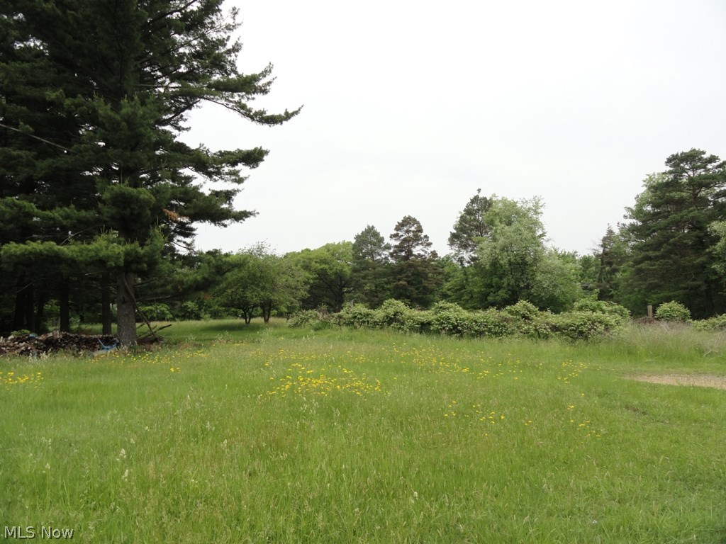 2642 Allison Road Chester, WV 26034 - Photo 32 of 35