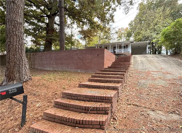 a view of a yard with plants and a large tree