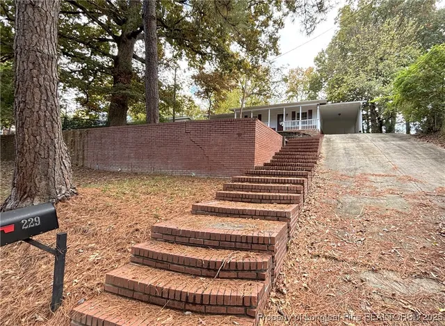 a view of a yard with plants and a large tree