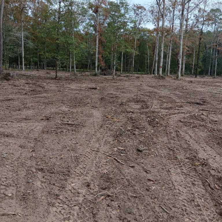 Lot 22 Plum Pudding Road Livingston, TX 77351 - Photo 1 of 7 a view of outdoor space and yard