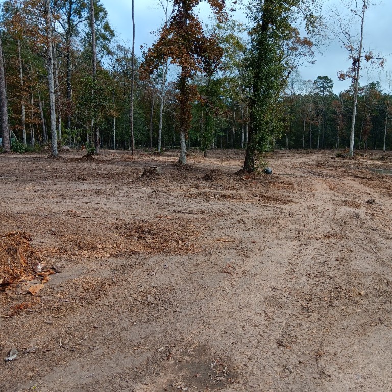 Lot 22 Plum Pudding Road Livingston, TX 77351 - Photo 2 of 7 a view of outdoor space with trees