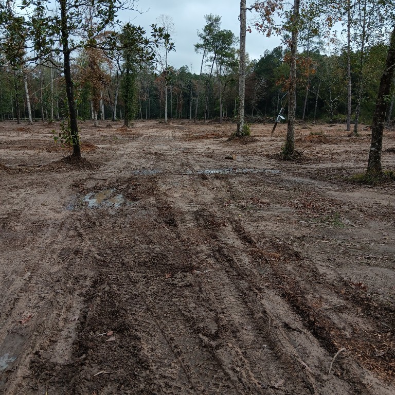 Lot 22 Plum Pudding Road Livingston, TX 77351 - Photo 4 of 7 a view of outdoor space with trees