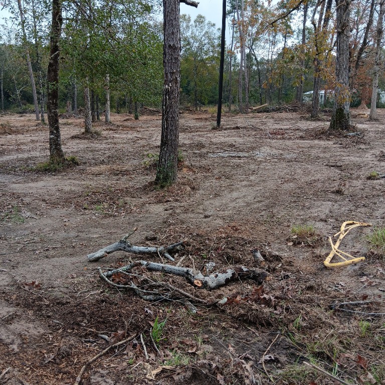 Lot 22 Plum Pudding Road Livingston, TX 77351 - Photo 5 of 7 a backyard of a house with lots of green space