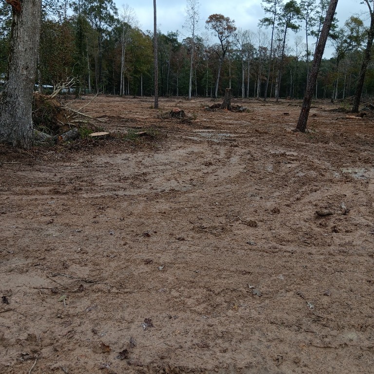 Lot 22 Plum Pudding Road Livingston, TX 77351 - Photo 6 of 7 a view of outdoor space with trees