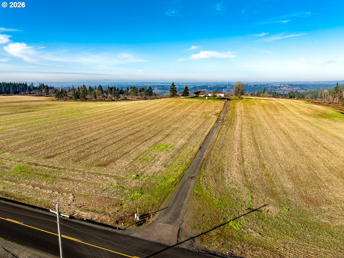 42172 Rodgers Mountain Loop Scio, OR 97374 - Photo 10 of 48