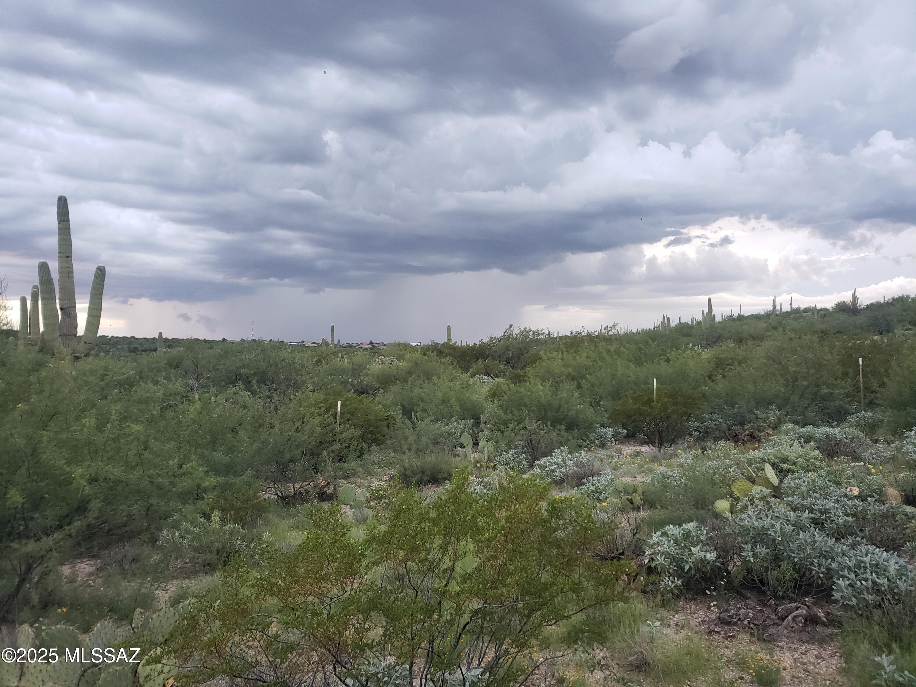 11650 South Lava Peak Road Vail, AZ 85641 - Photo 8 of 23