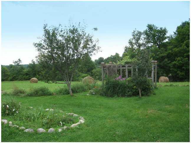 28 Oakland Road Fairfield, ME 04937 - Photo 16 of 21 Yard/Garden.