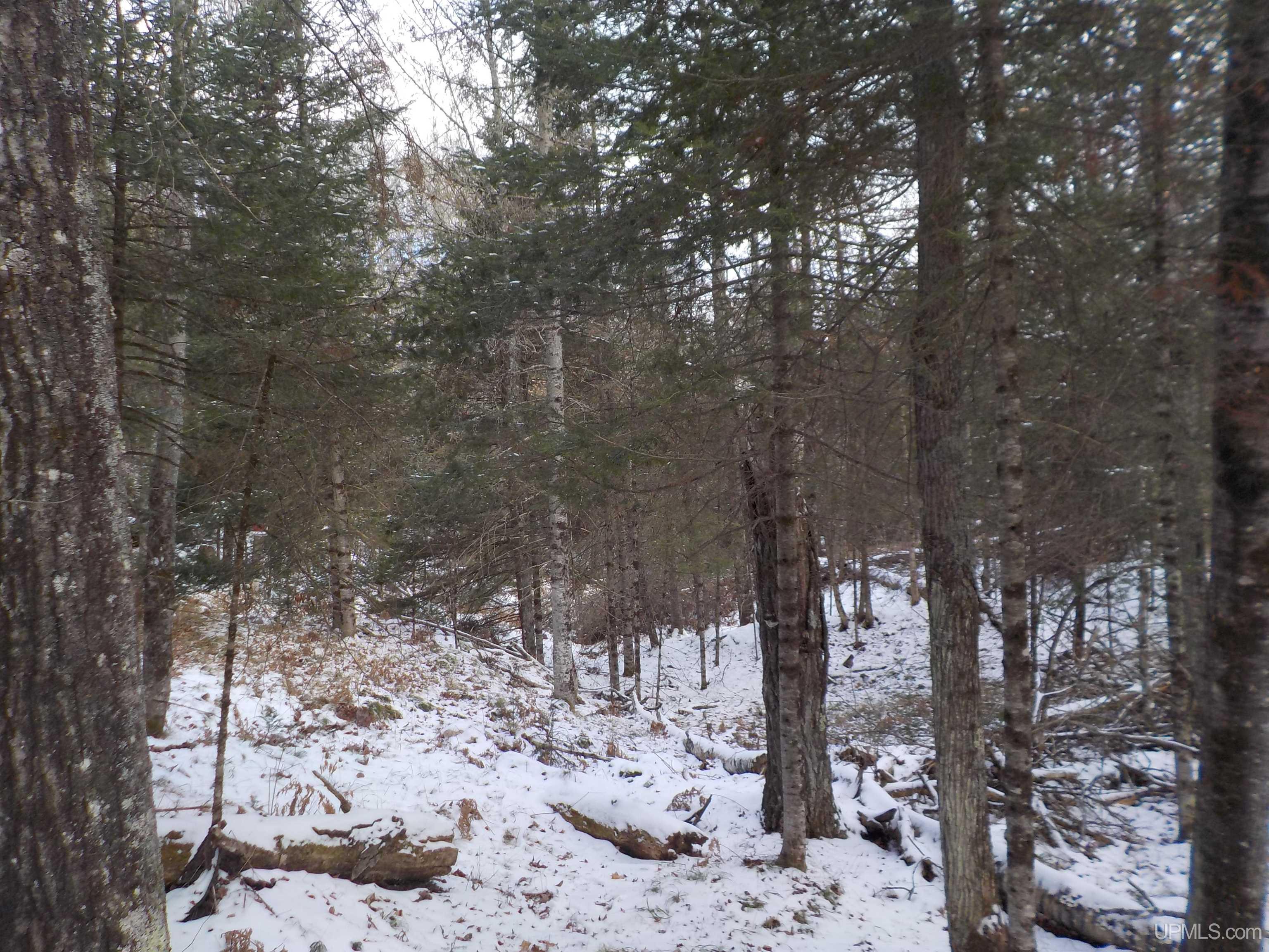 1.52-ac Bates-Amasa Road Crystal Falls, MI 49920 - Photo 13 of 28 Gallery Image 13