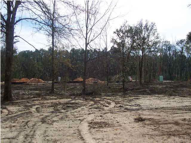 2248 Liberty Loop Road, Unit 19D Cantonment, FL 32533 - Photo 12 of 24 LOOKING FROM BACK PATIO