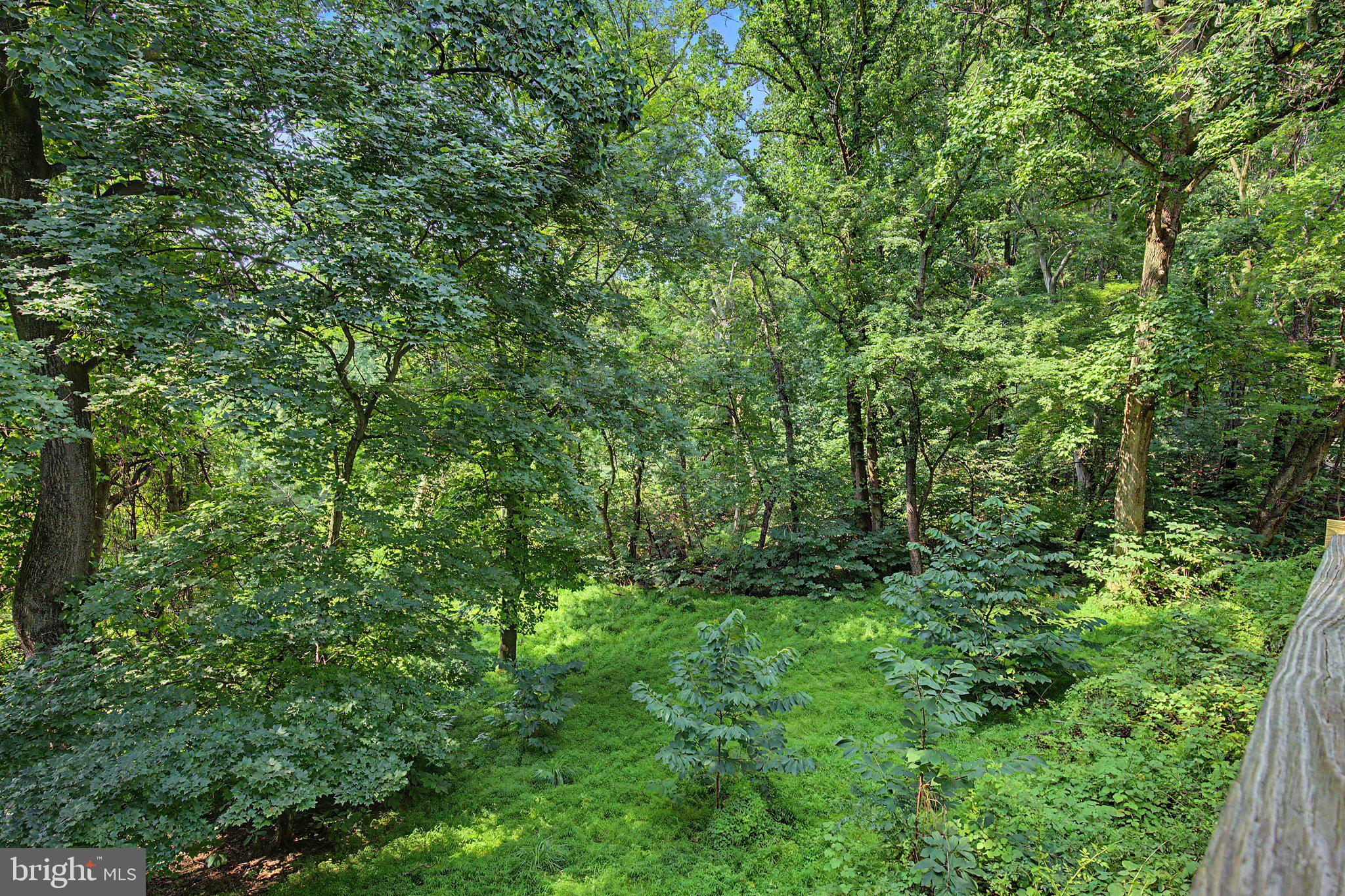 5276 Turkey Point Road North East, MD 21901 - Photo 56 of 61 Gallery Image 56