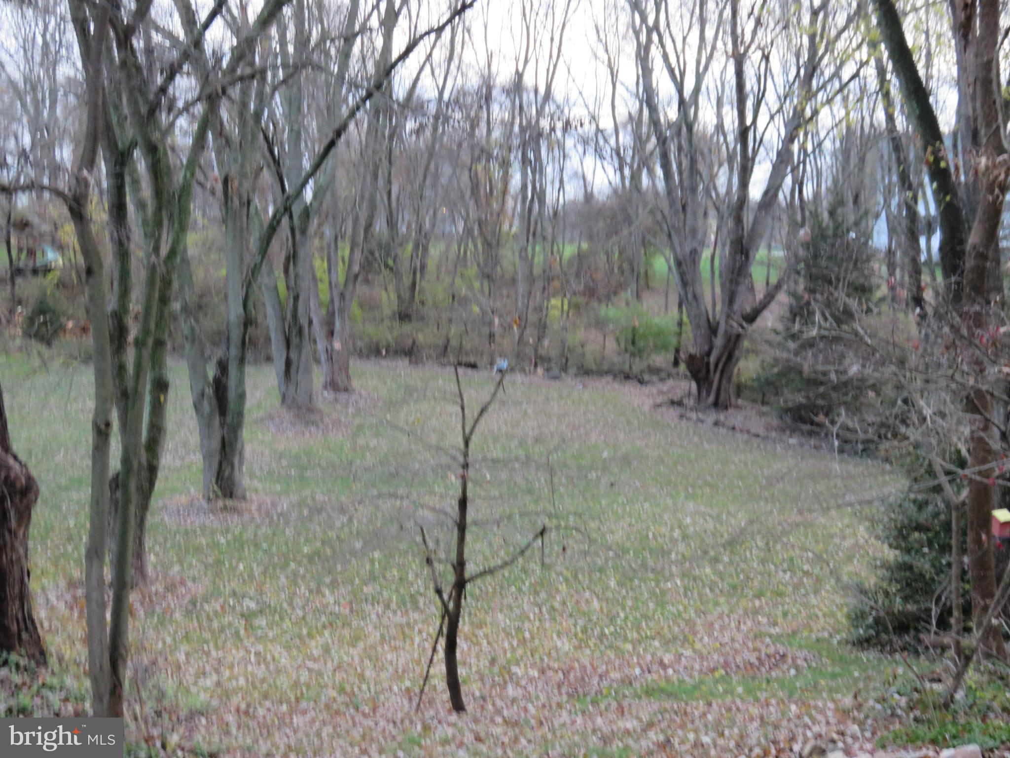 2104 Round Hill Road Fallston, MD 21047 - Photo 26 of 30 Rear Yard