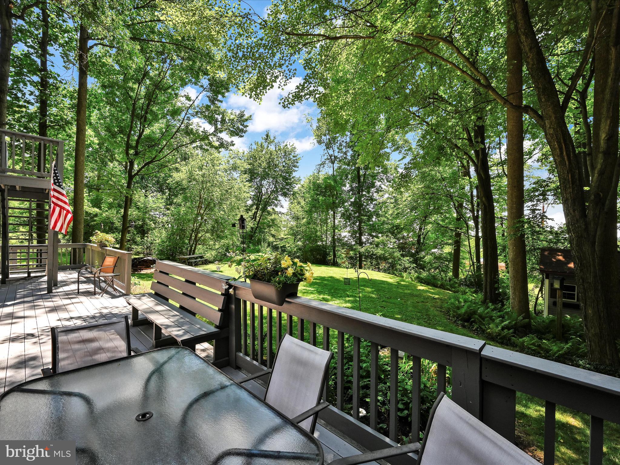 351 Dead End Road Lititz, PA 17543 - Photo 31 of 42 10"x48" Trex Deck, floor and rail