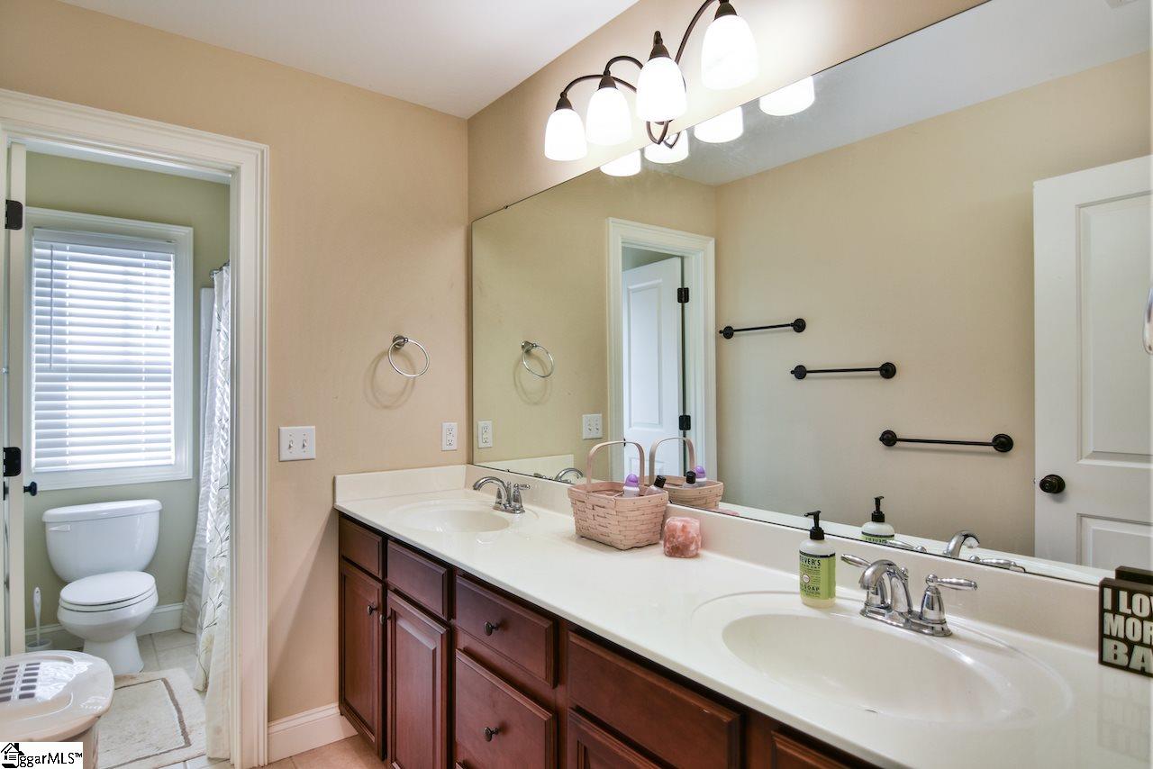 9 Brierfield Way Fountain Inn, SC 29644 - Photo 18 of 24