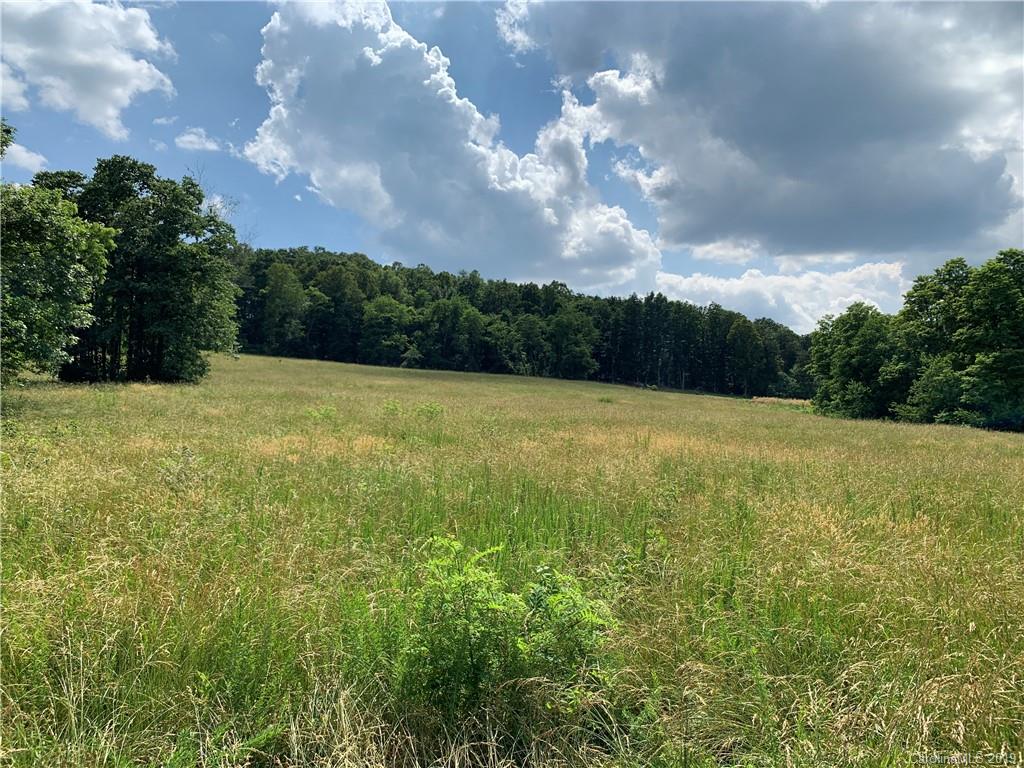13-ac Johnson Farm Road Hiddenite, NC 28636 - Photo 2 of 8