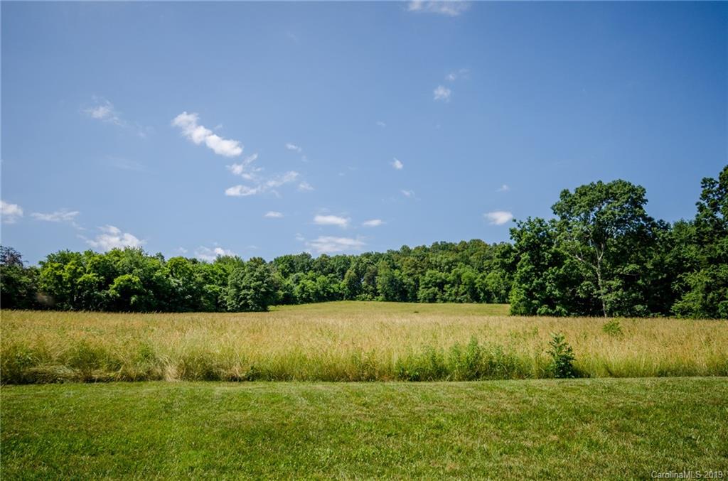 13-ac Johnson Farm Road Hiddenite, NC 28636 - Photo 7 of 8