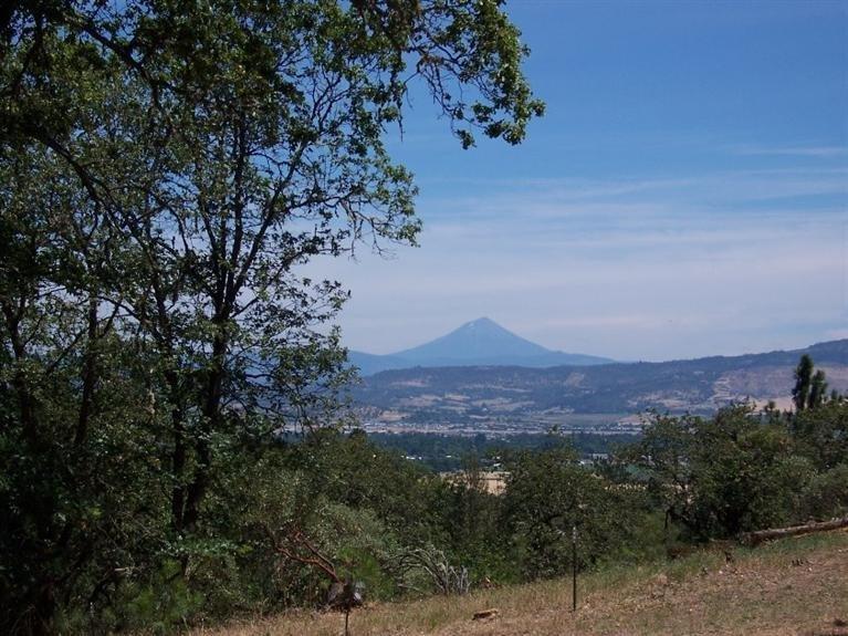 2812 Old Military Road Central Point, OR 97502 - Photo 29 of 32 Views - Mt. McLoughlin