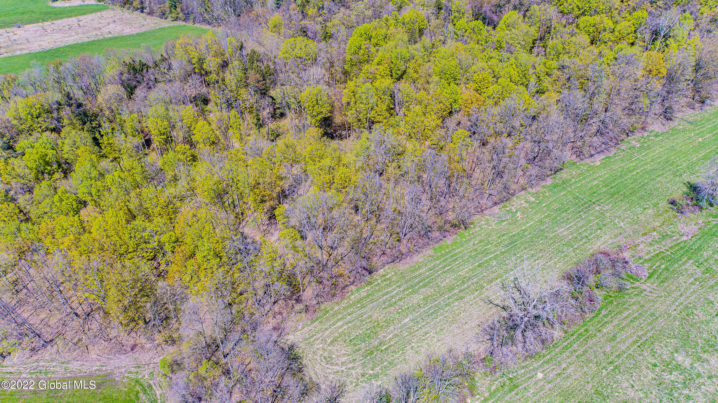 L31.2 Simcer Road Amsterdam, NY 12010 - Photo 30 of 32 Aerials 57